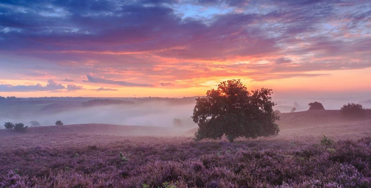 Sfeervol Chalet Op De Veluwe Putten Esterno foto